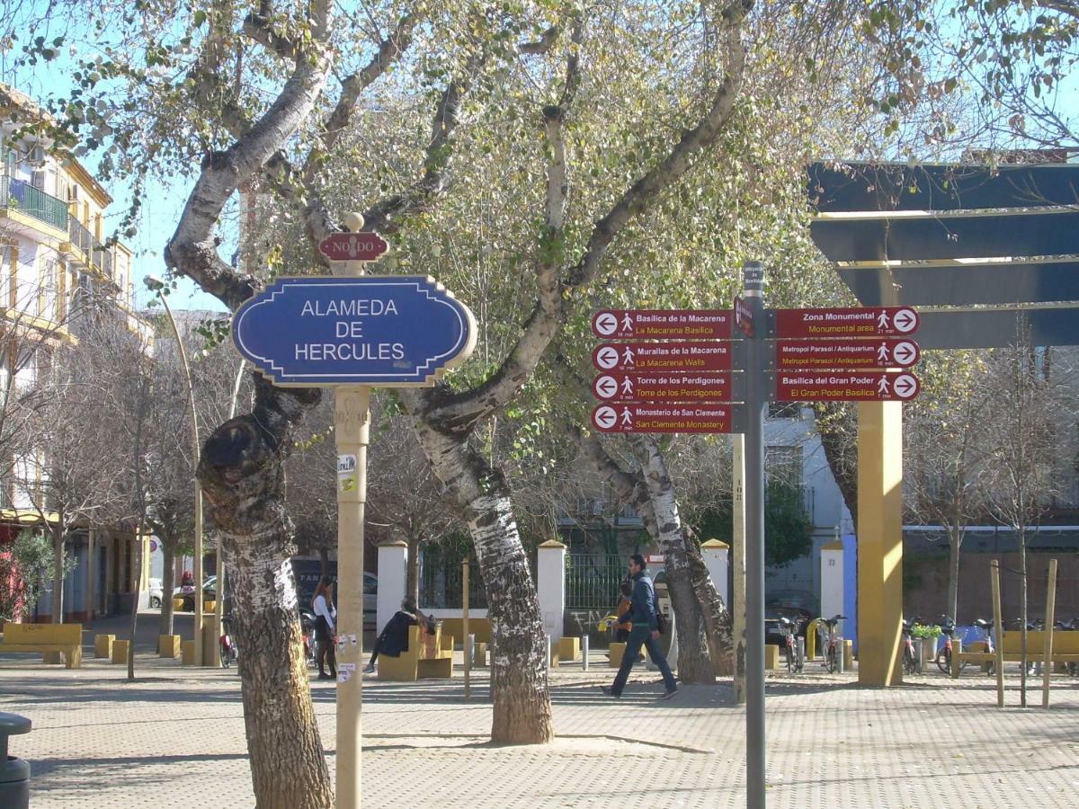 Medina Apartment And Parking Historical Center Sevilla Eksteriør bilde